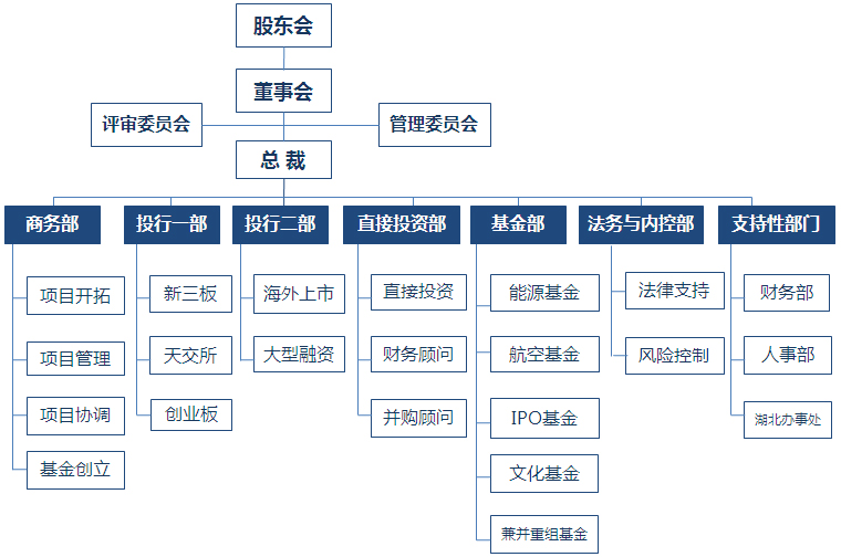 公司的组织架构如下图所示